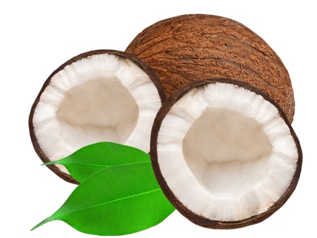 coconut isolated on white backgroundの写真素材
