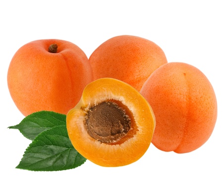 apricot isolated on white backgroundの写真素材