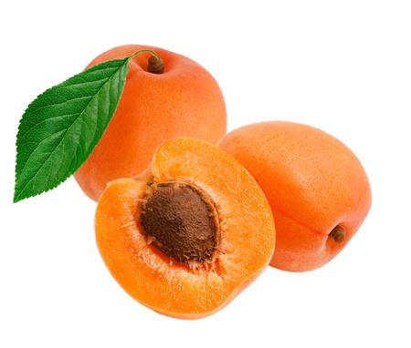 apricot isolated on white backgroundの写真素材