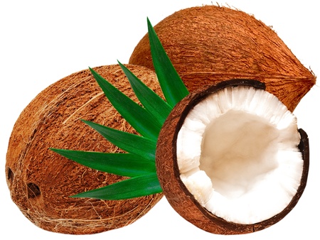 coconut isolated on white backgroundの写真素材