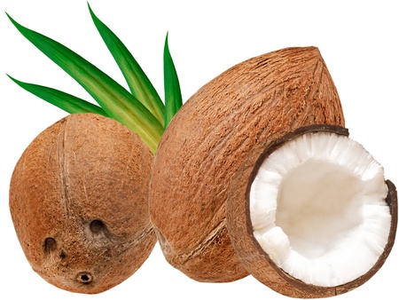 coconut isolated on white backgroundの写真素材