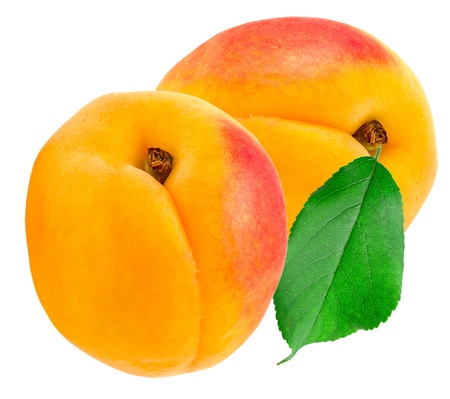 apricot isolated on white backgroundの写真素材