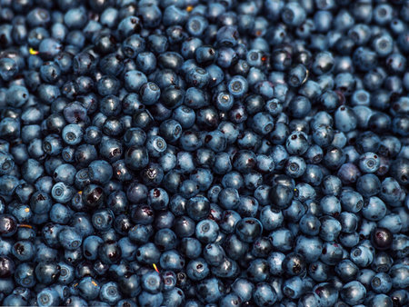 Blueberry