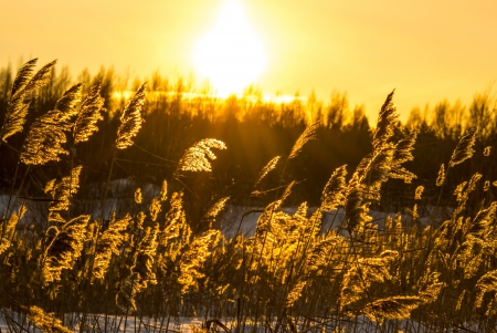 Beautiful winter sunsetの写真素材