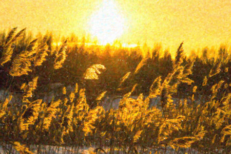 Beautiful winter sunset