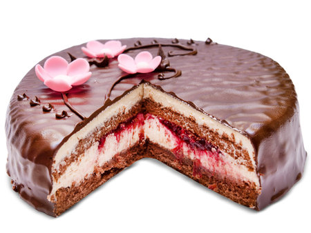 Chocolate cake on white background