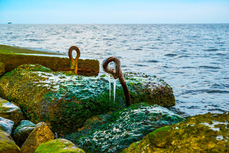 Winter seascape on a sunny day