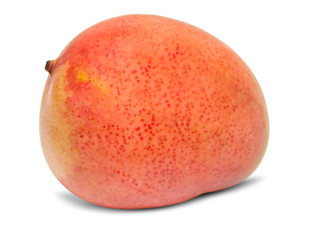 Mango isolated on white backgroundの写真素材