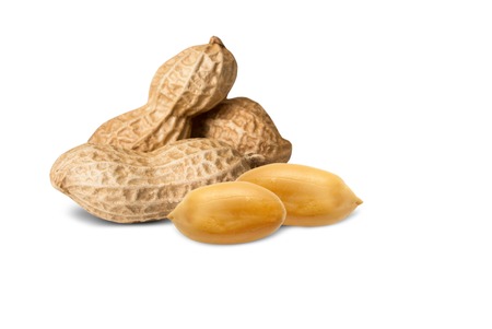 Peanuts isolated on white backgroundの写真素材