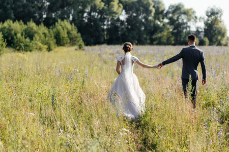 The bride and groom walk in the field and hold hands. High quality photoの写真素材