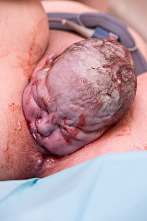 Geburtの写真素材