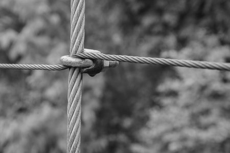 Close up old cable ties that are attached to each other.の写真素材