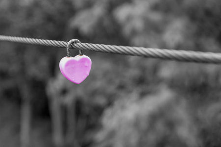Key lock pink on the cable.Choose the padlock as colors and other are black and white.