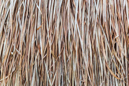 Old grass roof, close-up shot.の写真素材