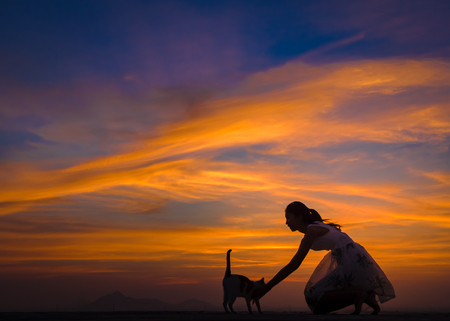 Silhouette of girl plays with her cat on the roofの写真素材