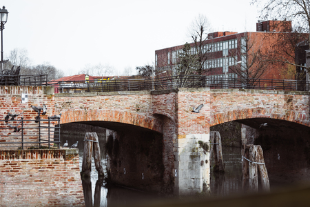 Stone bridge with birds in Padua Italyの写真素材