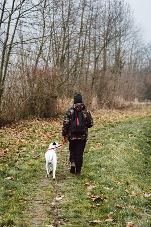 Girl and her dog walking in a rural sceneの写真素材