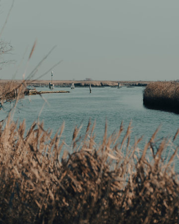 Forte Bazzera lagoon near Venice Italy