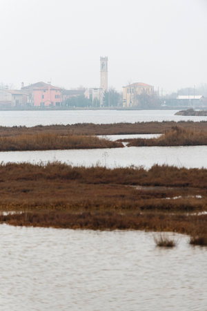 Lio Piccolo lagoon near Venice Italyの写真素材