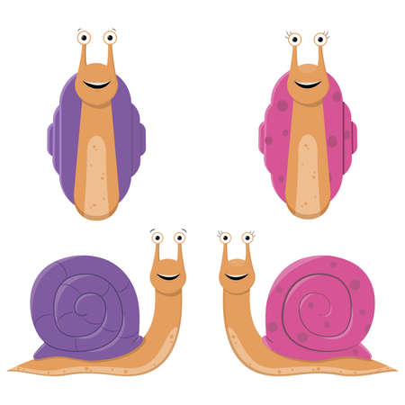 Snails isolated on whiteのイラスト素材