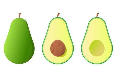 Avocado. Beautiful juicy natural fruit of green color for receiving vitamins by an organism. Vegetarian food. Vector illustration for blogging with proper nutrition, websites and prints.のイラスト素材