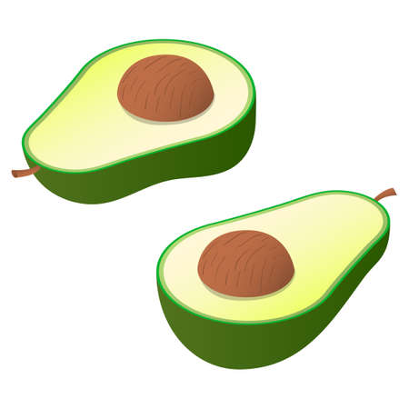 Avocado isometric. Beautiful juicy natural fruit of green color for receiving vitamins by an organism.のイラスト素材