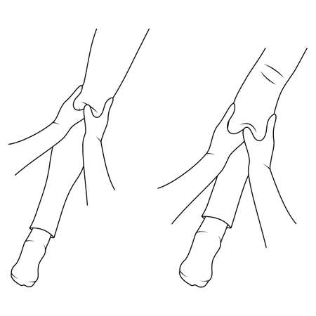 Massage. Yumeiho therapy line. Instructions for performing massage techniquesのイラスト素材