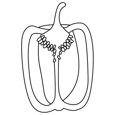 Green pepper line. Beautiful shiny healthy green vegetable for salads, sauces and stuffed dishes.のイラスト素材
