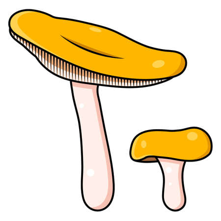 Mushroom. Beautiful autumn forest big cartoon mushroom of orange color.のイラスト素材