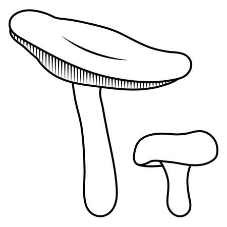 Mushroom line. Beautiful autumn forest big cartoon mushroom.のイラスト素材