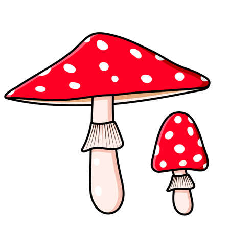Amanita. Beautiful autumn forest large poisonous red mushroom.のイラスト素材