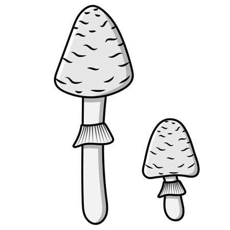 Mushroom. Beautiful autumn forest large cartoon gray mushroom.のイラスト素材