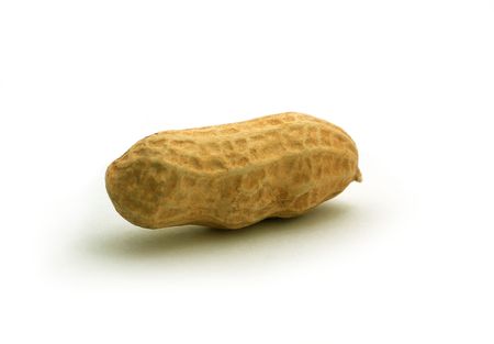 Peanut in shell isolated on a white backgroundの写真素材