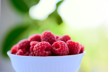 Big Pile of Fresh Raspberries in the White Bowl on the Blurred Green Background