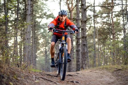 Cyclist Riding the Bike on the Trail in the Forest. Extreme Sport Concept.