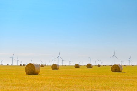 Straw Bales on the Bright Yellow Field under the Blue Sky. Wind Generator Turbines on the Background