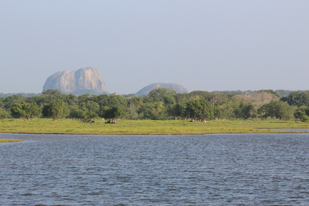 landscape from Yala National Park in Sri Lanka.の写真素材