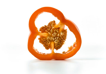 A slice of paprika shot against the light source