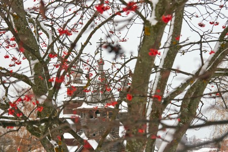 Suzdal, Russia - November 5, 2016: Museum Of Wooden Architecture & Peasant Life. Rowan with old wooden Church (Church of the Resurrection of Christ built in 1776. It is a monument of wooden architecture of the 18 century) in traditional Russian style at bのeditorial素材