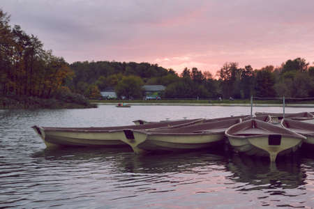 Pond in front of the Kuskovo Palace in Kuskovo estate, Moscow, Russia. Subject of cultural heritage of Russia number 7710966000.のeditorial素材