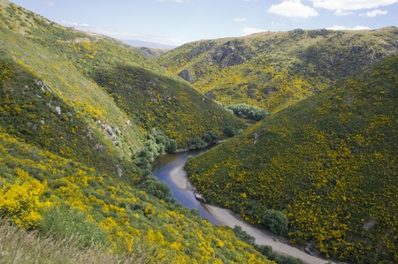 Hills landscape with a river in New Zealandの写真素材