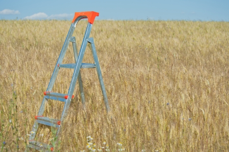 Stepladder stands in the wheat fieldの写真素材