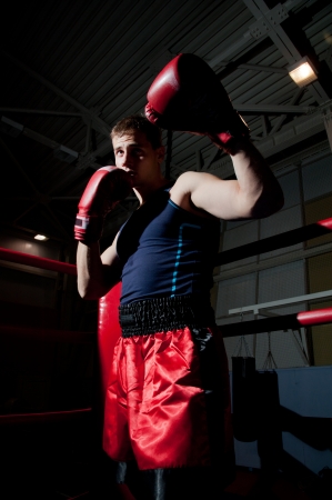 Young adult boxer fighting on the ringの写真素材