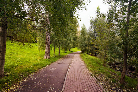 Path for people and cyclists in the autumn Park. Nature composition.