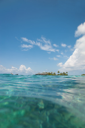 Island with palms in the ocean, Maldivesの写真素材