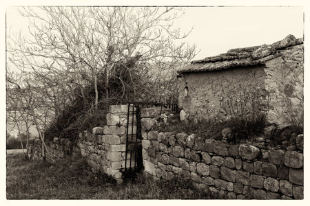 Ancient Cemetery Blufi (Madonie, Sicily)の写真素材