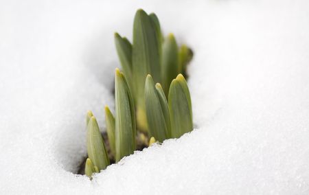 spring setsの写真素材