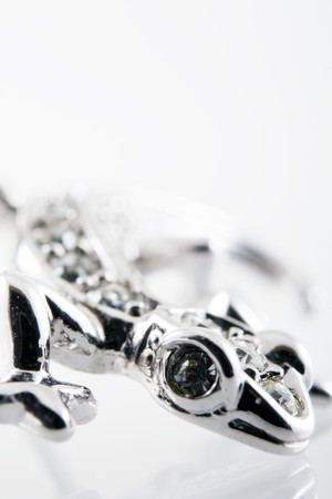 broochの写真素材