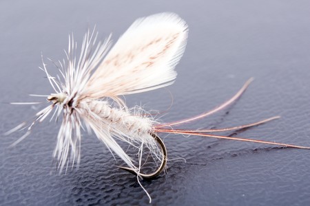 fishhookの写真素材