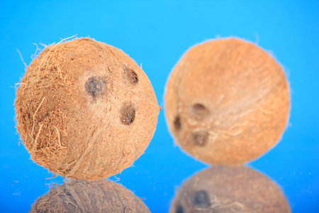coconut